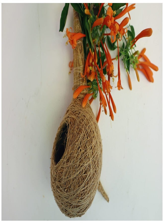 USIRA Safest Round Organic Bird nest Purely Handmade Sparrow/Small Birds,Natural Vetiver Root Bird Nest With 1 Artificial Bird combo - Image 2